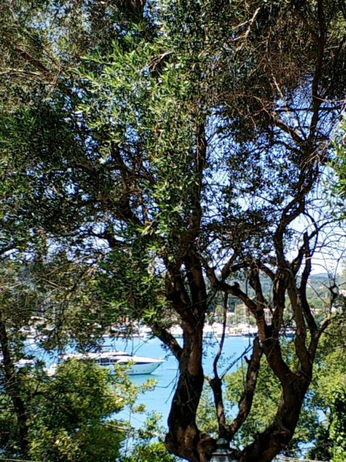 Coritos Apartments Corfu 库托卡利恩 外观 照片